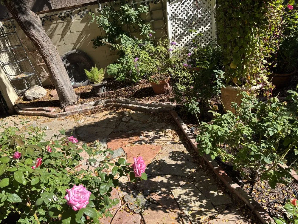 Affordable landscape design for residential properties in Henderson, NV by Lawn Order Lawn Maintenance