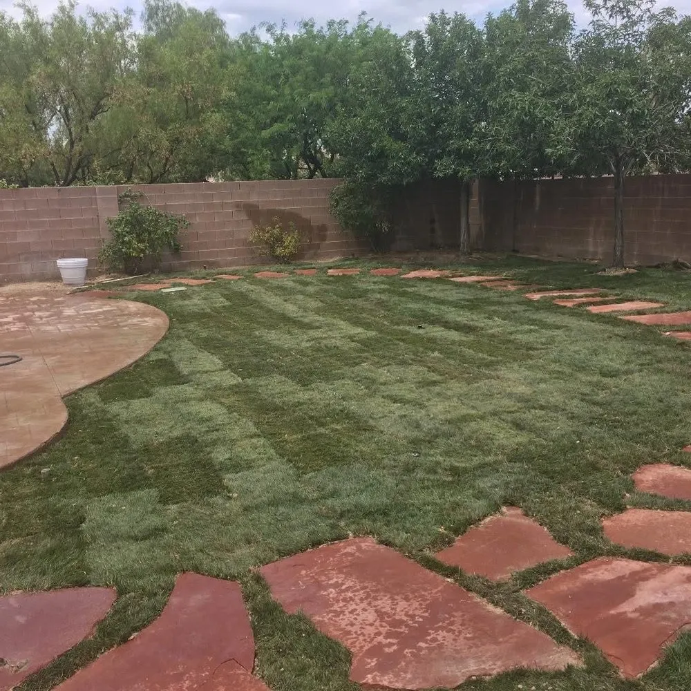 Custom lawn mowing service near you across Henderson, NV - Lawn Order Lawn Maintenance