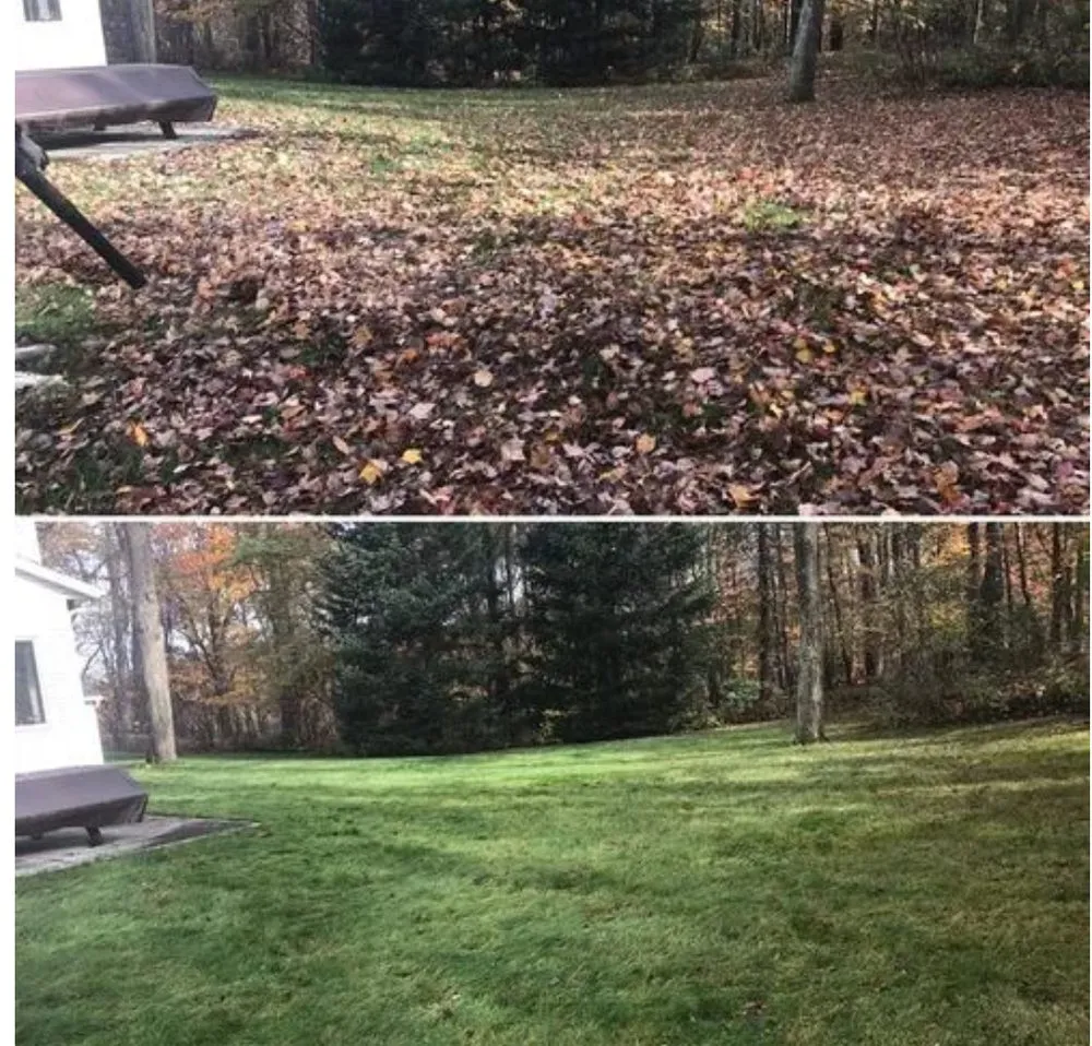 Professional lawn care service in North Charleston, SC - Lawn Order