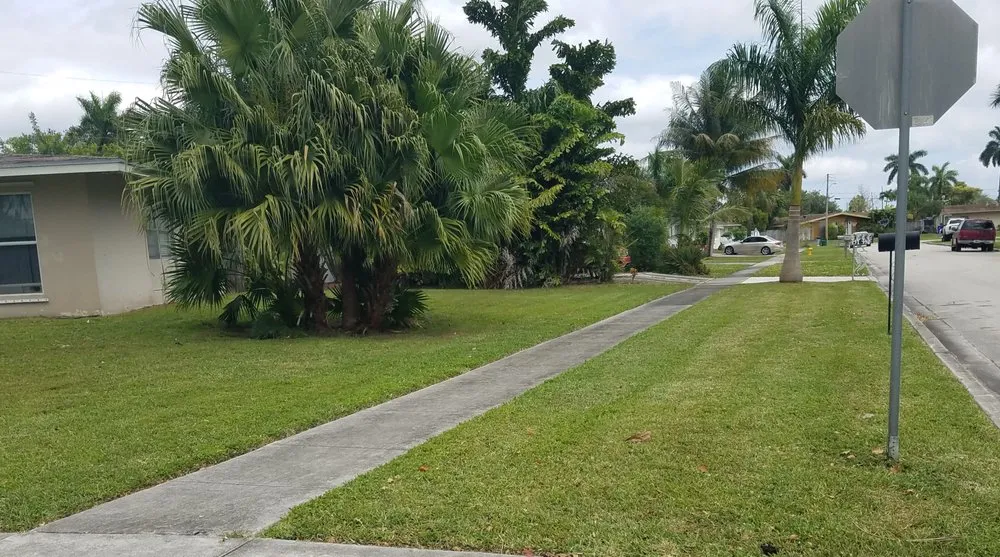 Expert outdoor landscaping for outdoor upgrades across Margate, FL - Lawn Out Loud