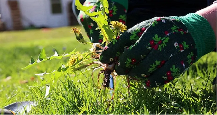 Expert residential landscaping in Fuquay Varina, NC - Lawn Panther