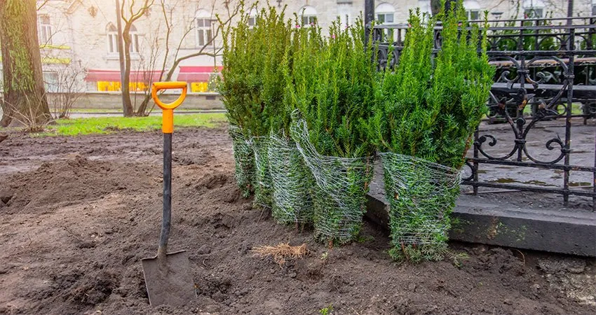 Professional lawn care service experts serving Fuquay Varina, NC - Lawn Panther