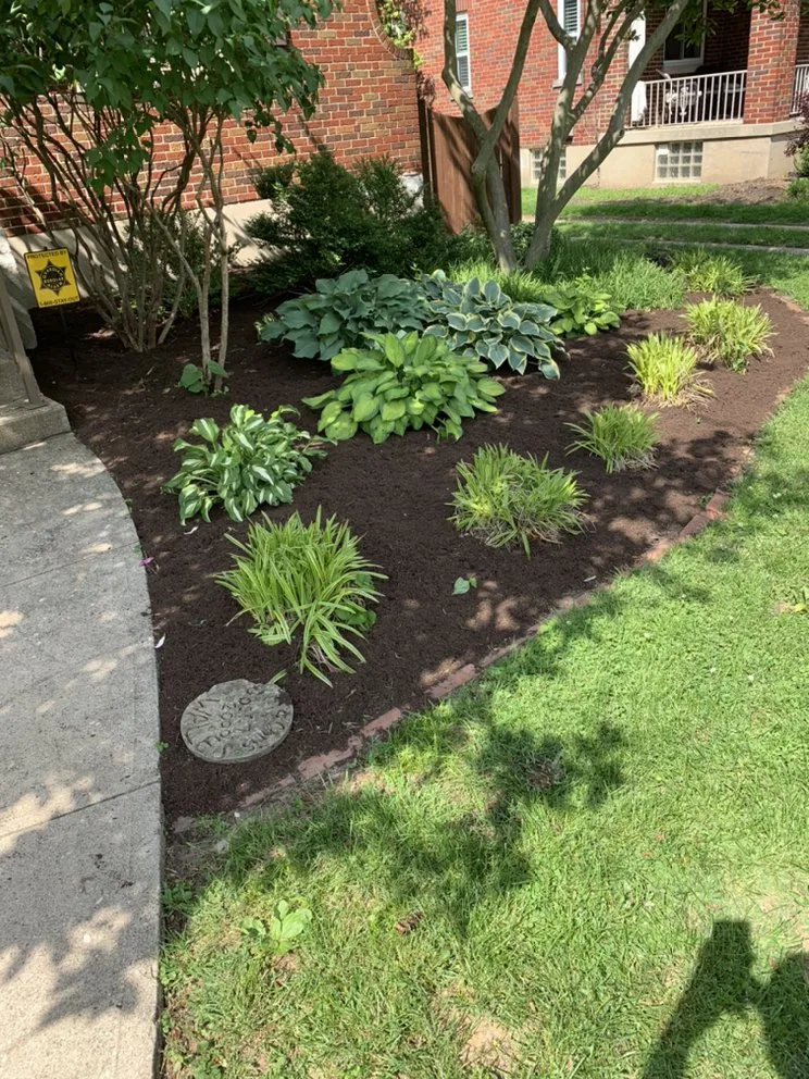 Expert yard maintenance in Cincinnati, OH - Lawn Paradise