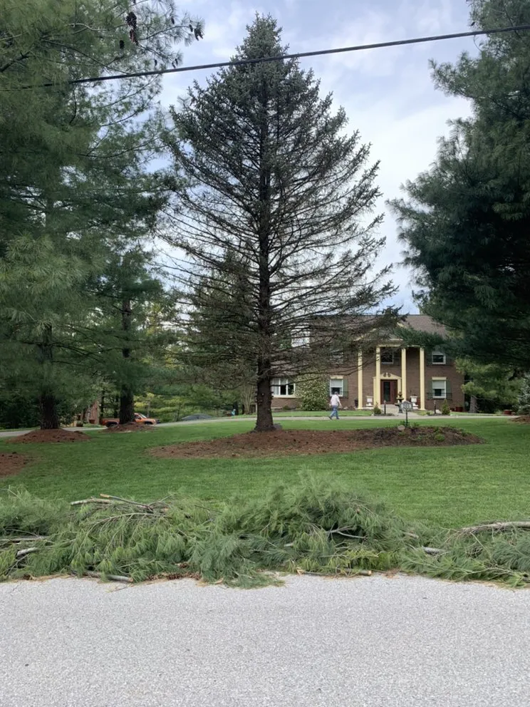 Professional landscaping services in Cincinnati, OH - Lawn Paradise