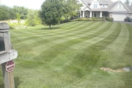 Expert yard cleanup service in Jonesburg, MO - Lawn Partner Lawncare