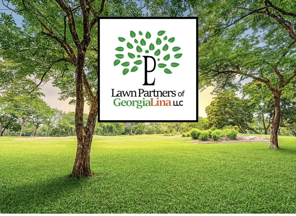 Professional landscaping services for beautiful yards across Augusta, GA - Lawn Partners of Georgialina