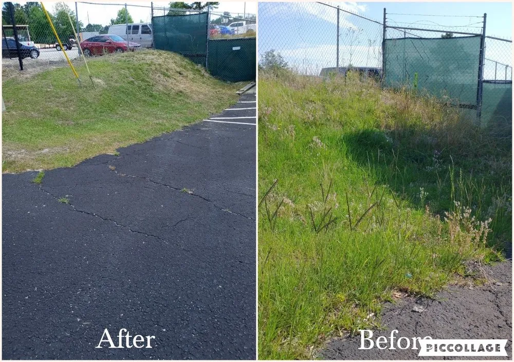 Professional landscape installation in Augusta, GA - Lawn Partners of Georgialina