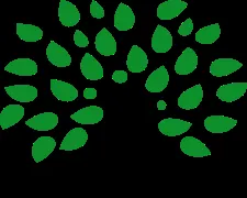 Affordable landscaping services for residential properties across Augusta, GA - Lawn Partners of Georgialina