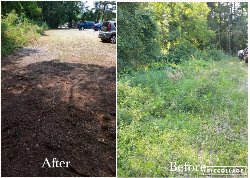 Expert lawn mowing service in Augusta, GA - Lawn Partners of Georgialina