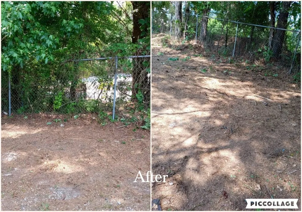 Local landscape design in Augusta, GA - Lawn Partners of Georgialina