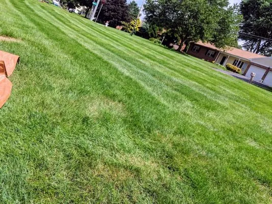 Lawn Patrol & Landscping Logo