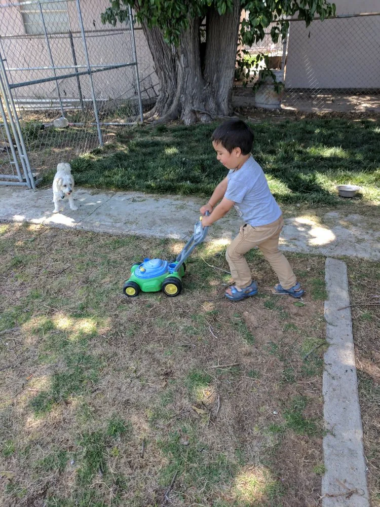 Reliable residential landscaping experts serving Hobbs, NM - Lawn Patrol