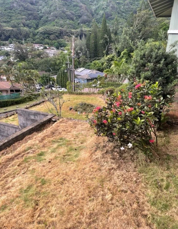 Affordable residential landscaping for residential properties in Honolulu, HI by Lawn Patrol