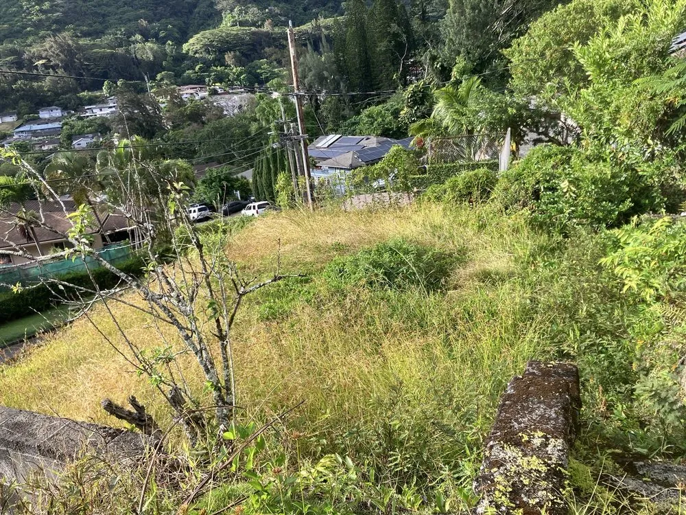 Affordable landscape installation for outdoor upgrades in Honolulu, HI by Lawn Patrol