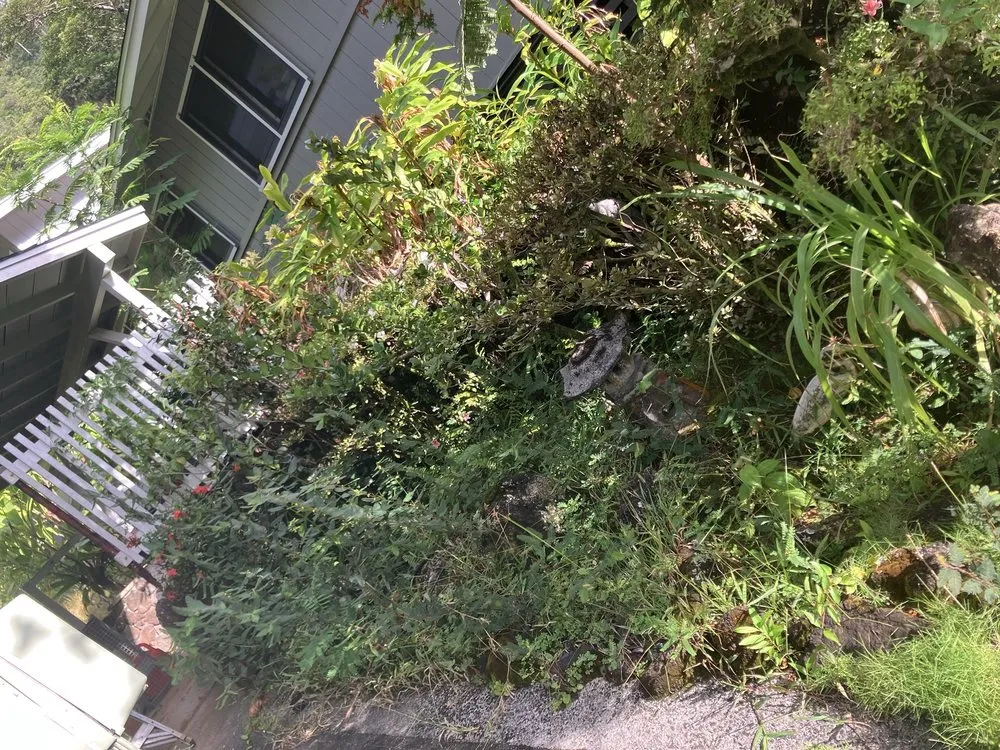 Affordable landscape design for beautiful yards in Honolulu, HI by Lawn Patrol