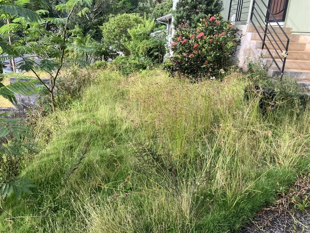 Professional yard cleanup service near you in Honolulu, HI by Lawn Patrol