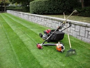 Professional lawn care service experts serving Bryan, TX - Lawn Patrol Lawn Care Services