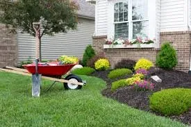 Local yard maintenance in Bryan, TX - Lawn Patrol Lawn Care Services