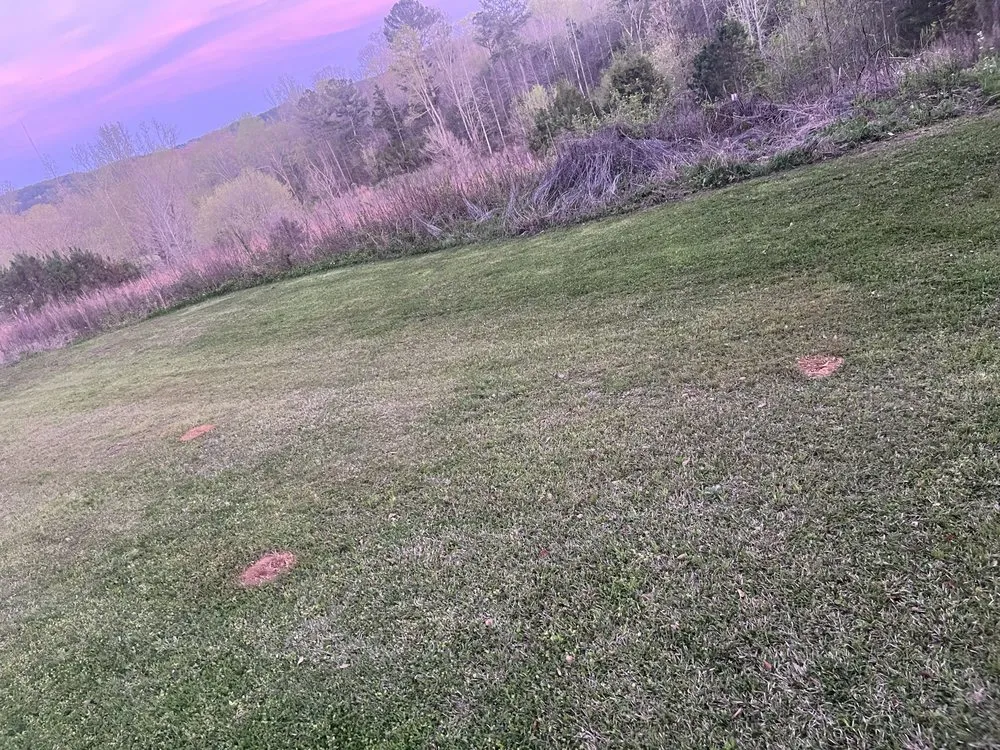 Custom lawn care service in Ripley, MS - Lawn Patrol