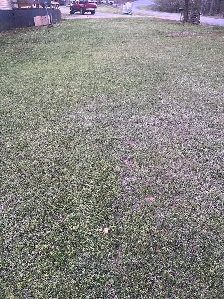 Reliable outdoor landscaping with custom design across Ripley, MS - Lawn Patrol