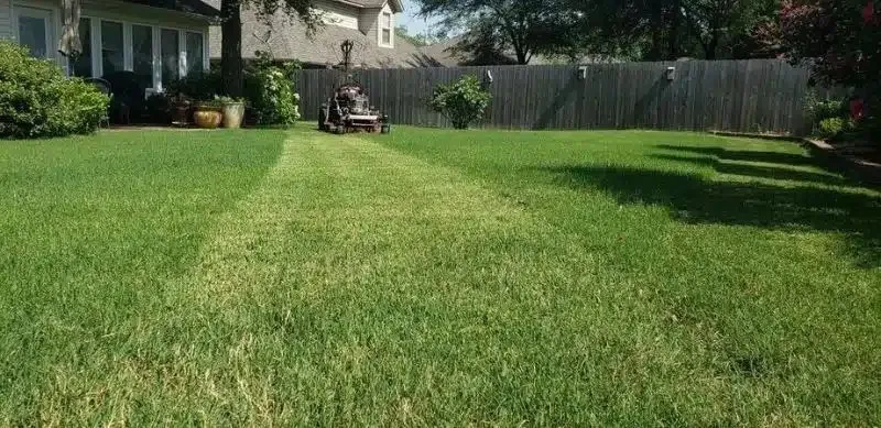 Affordable yard cleanup service for year-round maintenance across Ripley, MS - Lawn Patrol