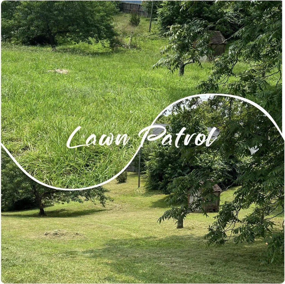 Custom yard maintenance in Soddy Daisy, TN by Lawn Patrol