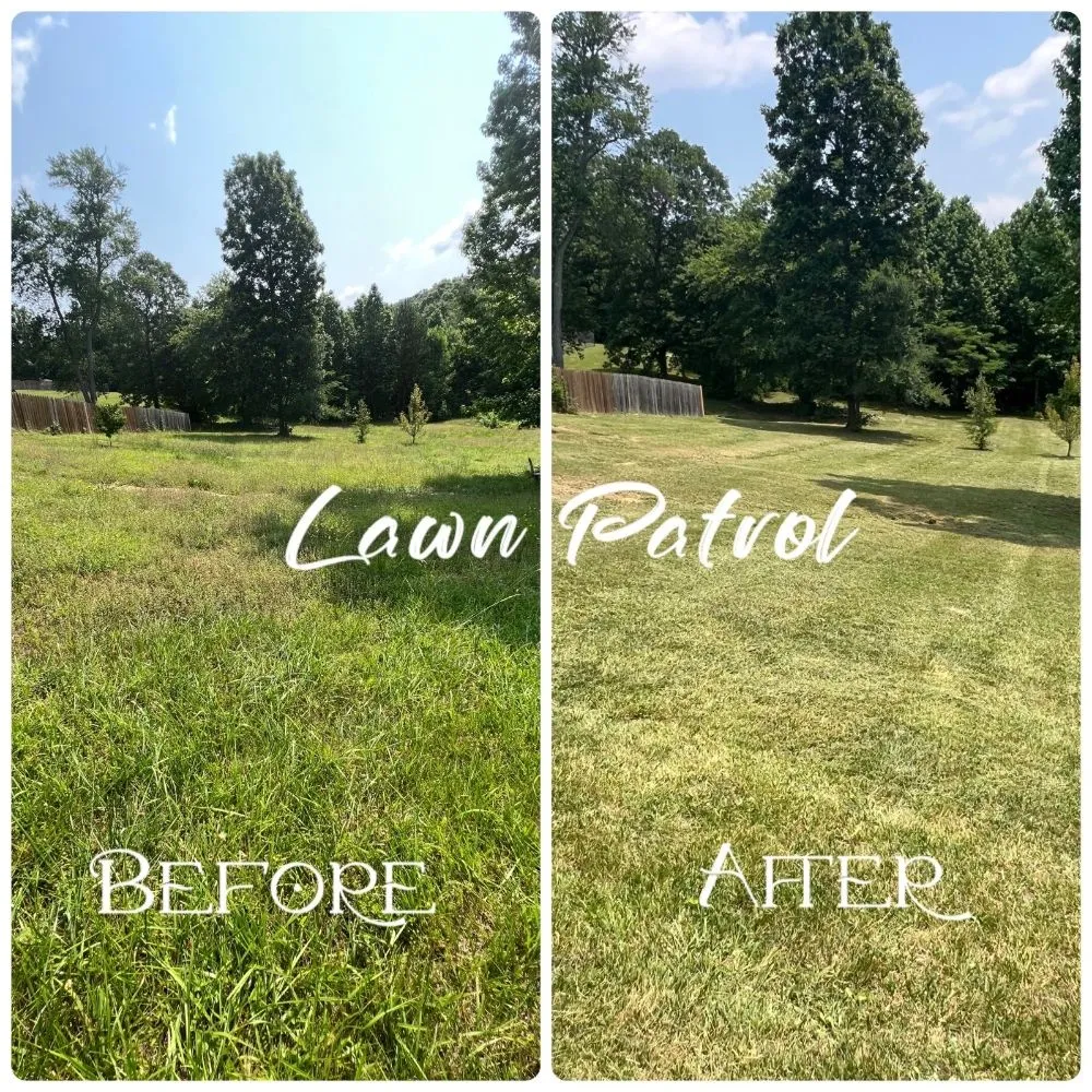 Top-rated landscape design in Soddy Daisy, TN - Lawn Patrol