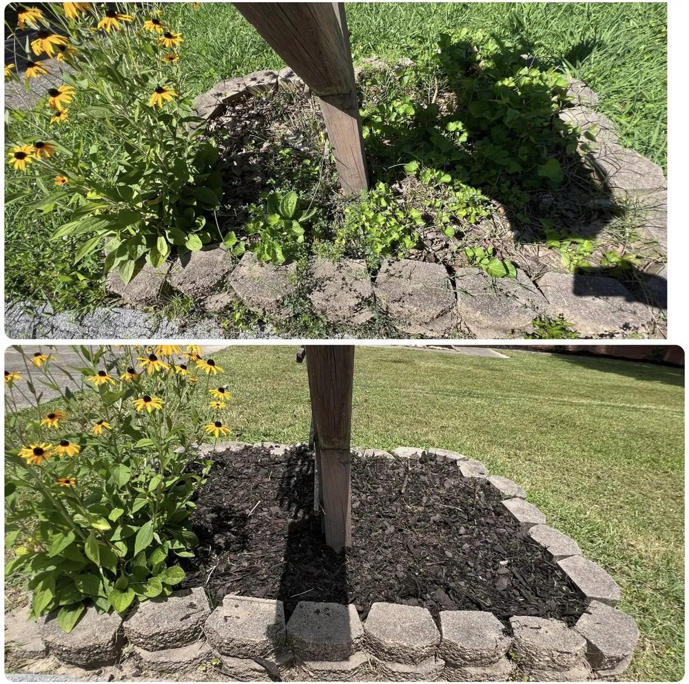 Local residential landscaping in Soddy Daisy, TN - Lawn Patrol