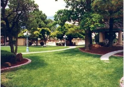 Trusted lawn mowing service in Brandon, FL by Lawn Patterns Of Tampa Bay