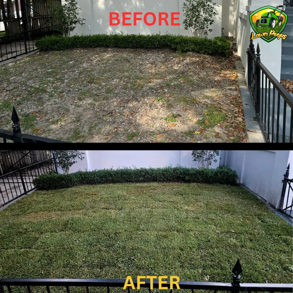 Affordable lawn care service for homes across New Orleans, LA - Lawn Peeps