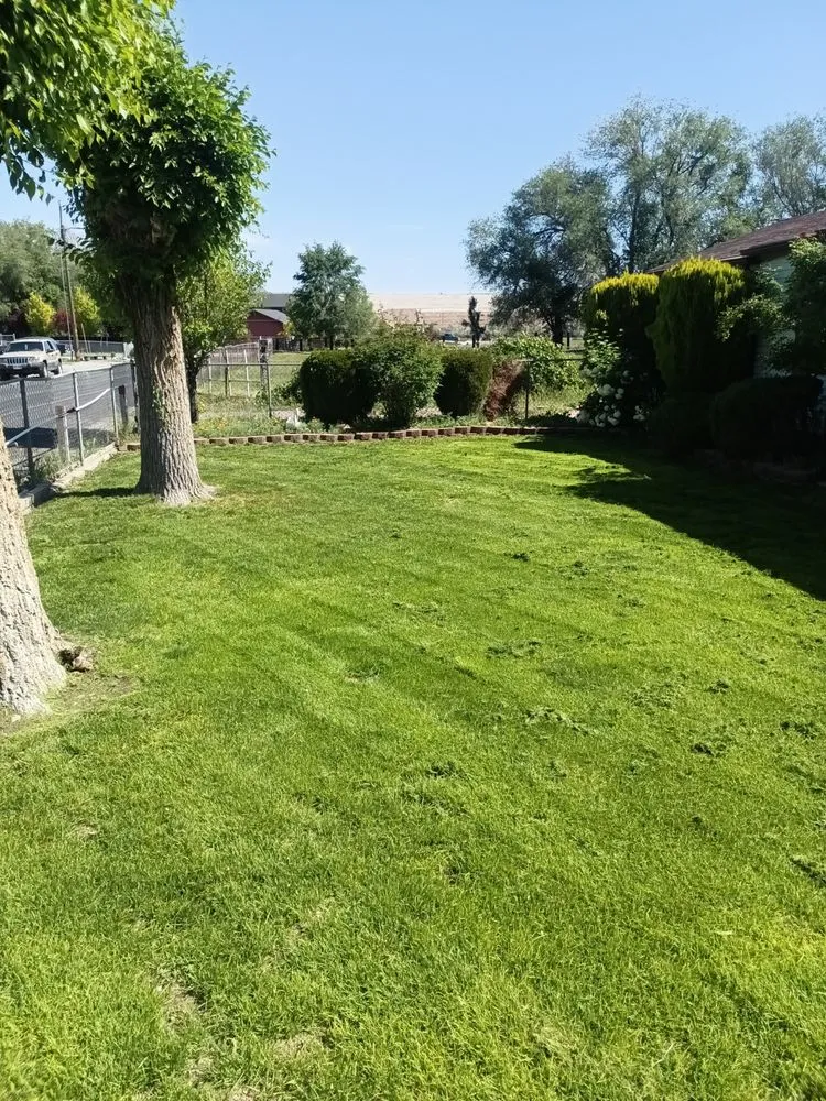 Affordable lawn care service for year-round maintenance in Cottonwood Heights, UT by Lawn Perfection