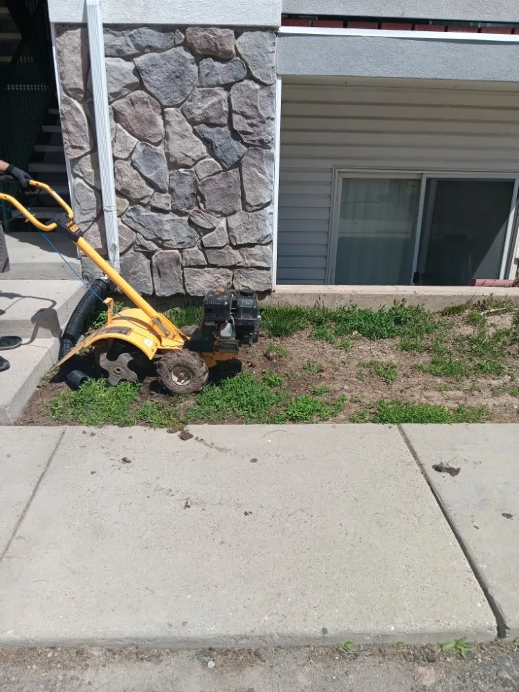 Professional lawn care service in Magna, UT by Lawn Perfection