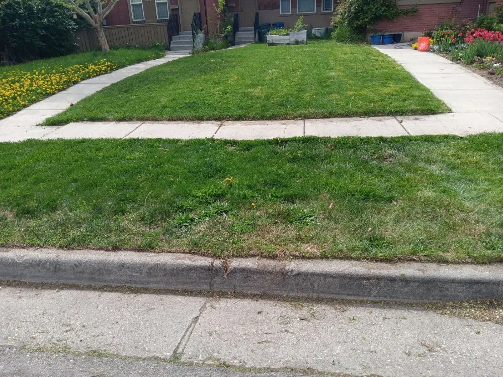 Custom lawn care service for beautiful yards in Magna, UT by Lawn Perfection