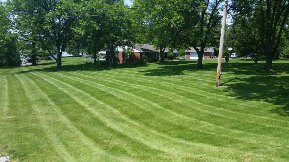 Affordable yard maintenance experts serving Springfield, IL - Lawn Perks