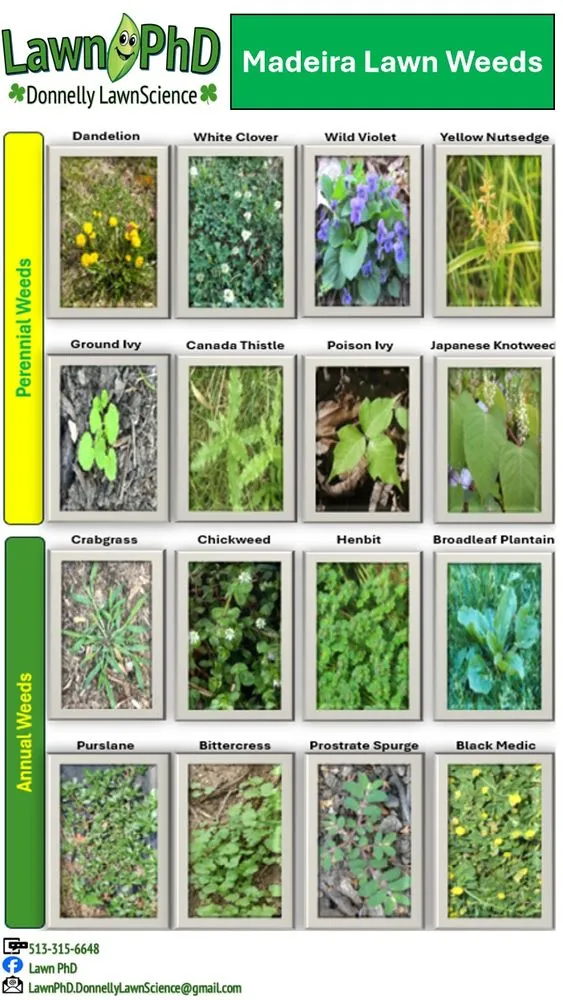 Reliable outdoor landscaping in Cincinnati, OH by Lawn PhD