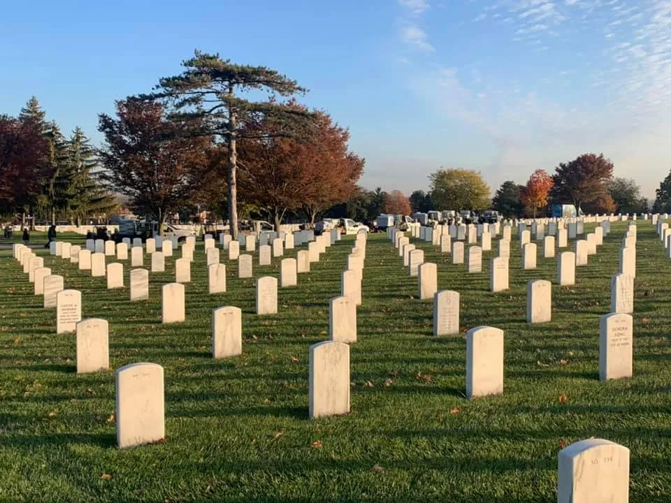 Affordable outdoor landscaping in Dayton, OH - Lawn Plus