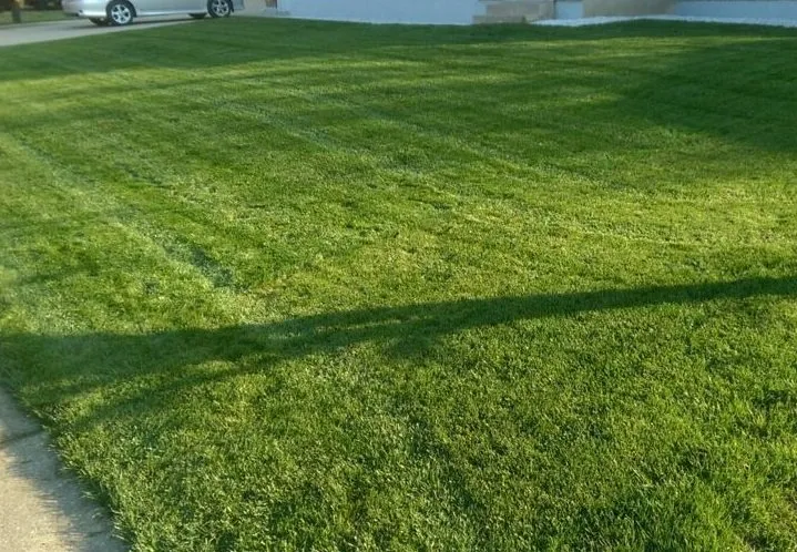 Local landscape design for residential properties across Dayton, OH - Lawn Plus