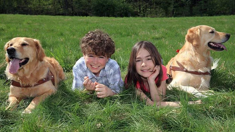 Top-rated residential landscaping in Springdale, OH by Lawn Plus Pest Control Services