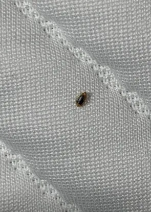 Expert garden landscaping for homes across Springdale, OH - Lawn Plus Pest Control Services