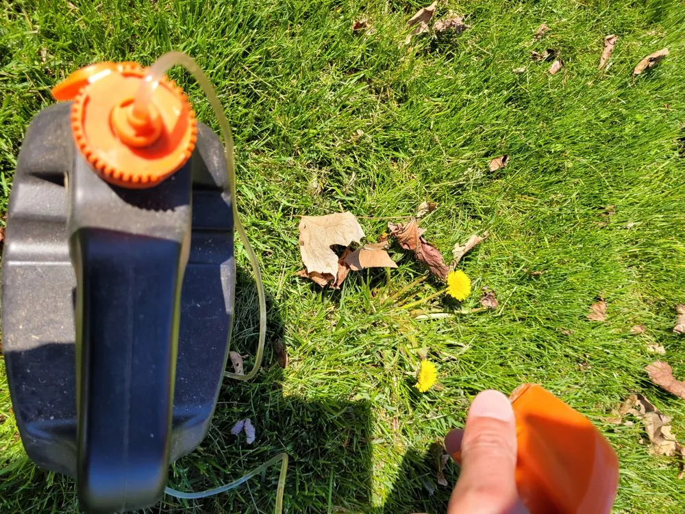 Top-rated outdoor landscaping for residential properties across West Alexandria, OH - Lawn Plus