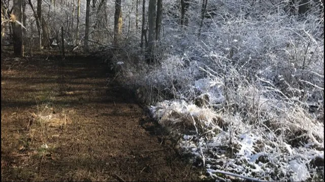 Top-rated residential landscaping for homes in West Alexandria, OH by Lawn Plus