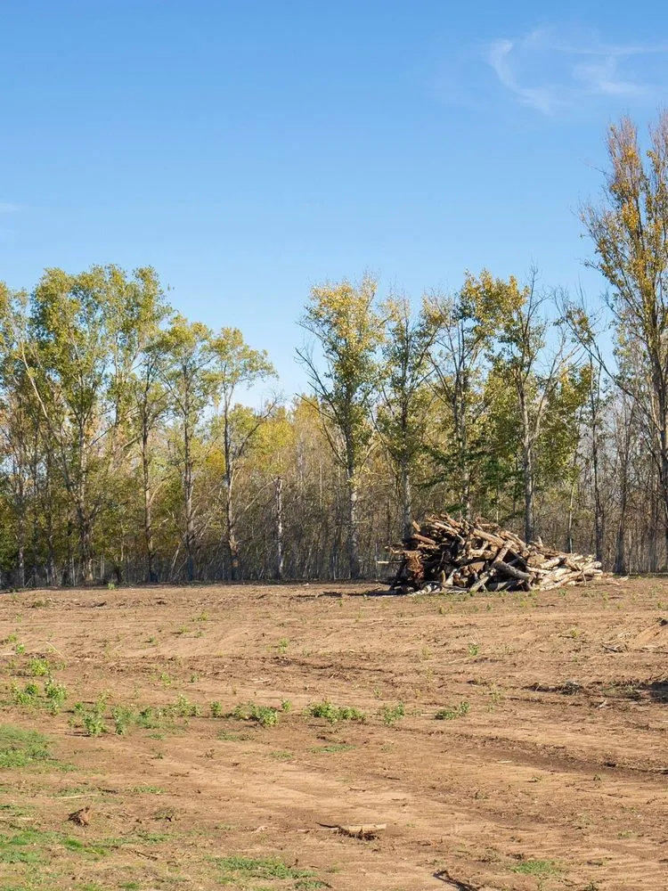 Custom yard cleanup service for residential properties across West Alexandria, OH - Lawn Plus