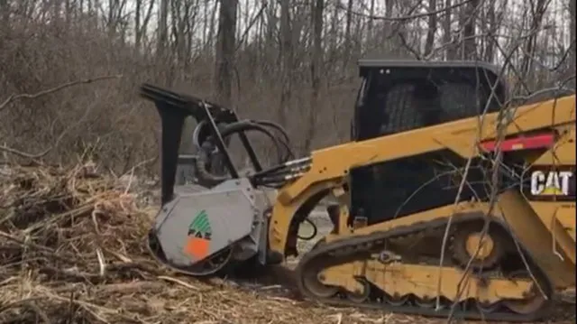 Professional landscape design experts serving West Alexandria, OH - Lawn Plus