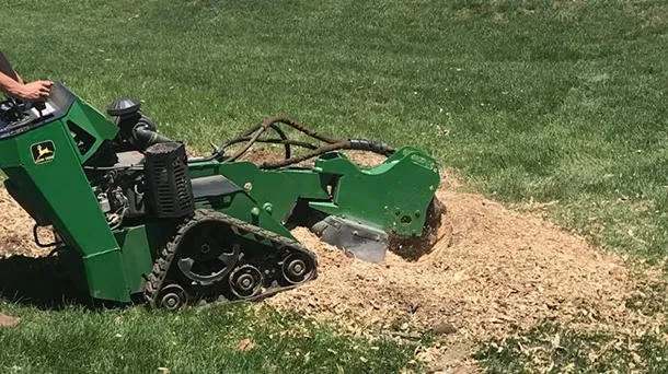 Reliable yard maintenance in West Alexandria, OH by Lawn Plus