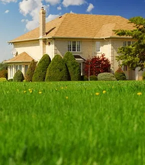 Affordable yard cleanup service experts serving West Alexandria, OH - Lawn Plus