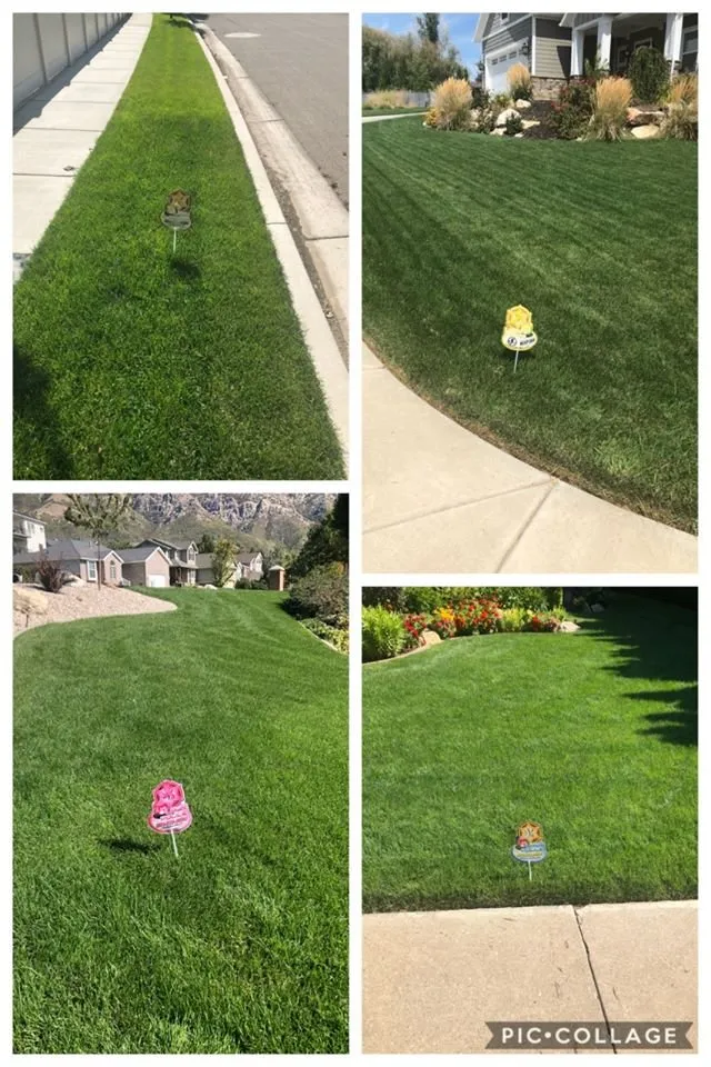 Expert outdoor landscaping in Pleasant View, UT by Lawn Police