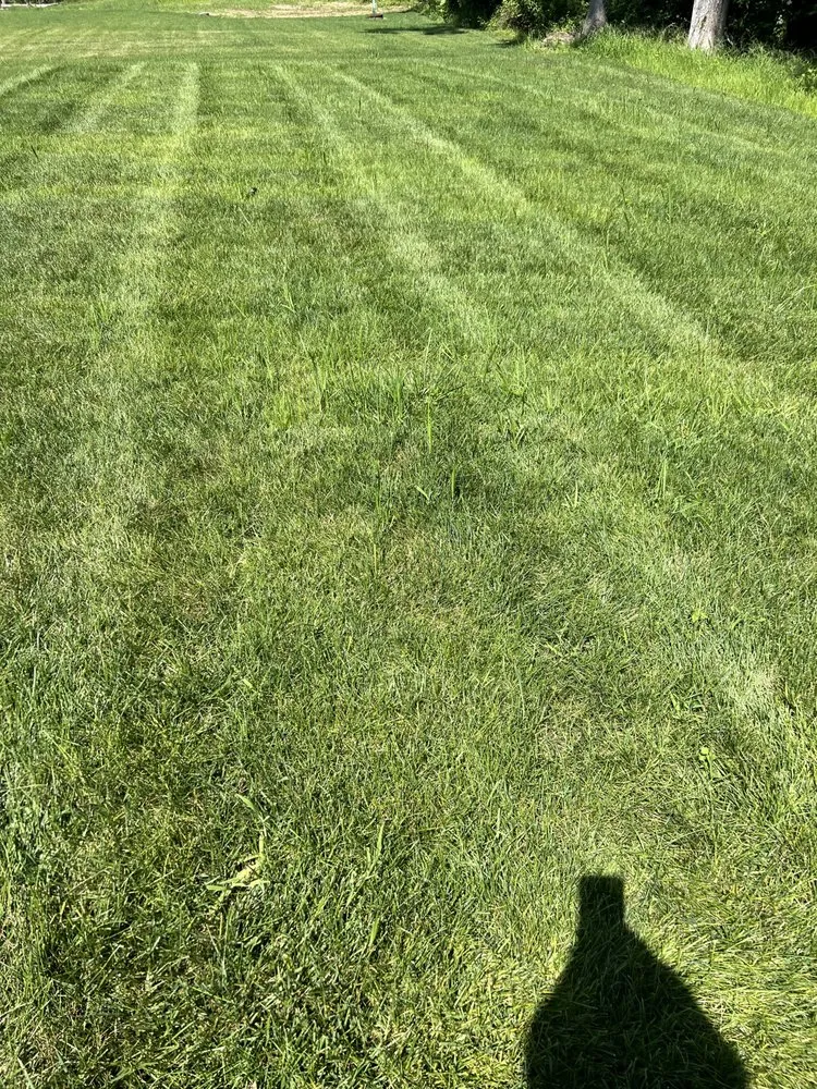 Affordable yard maintenance experts serving Glen Allen, VA - Lawn Popper's