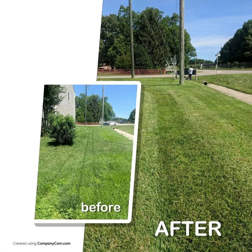Affordable residential landscaping in Glen Allen, VA by Lawn Popper's