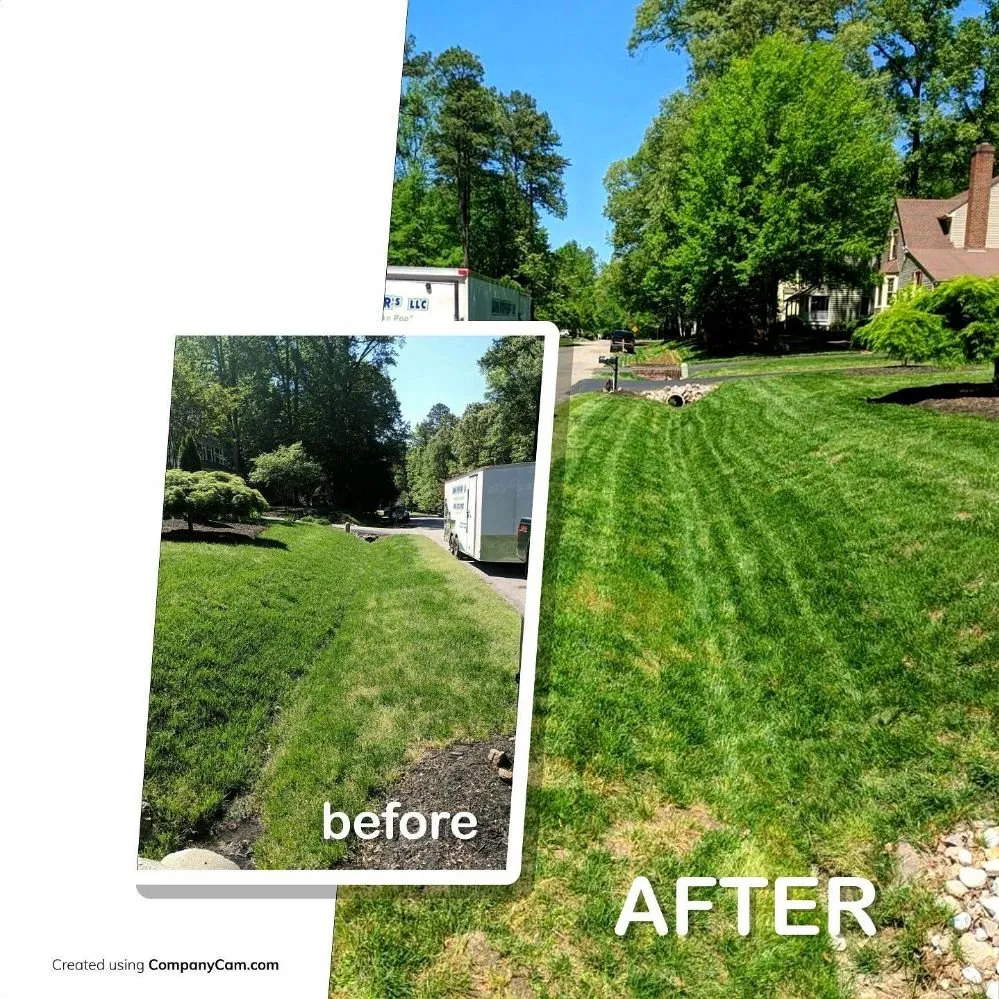 Expert lawn care service in Glen Allen, VA - Lawn Popper's