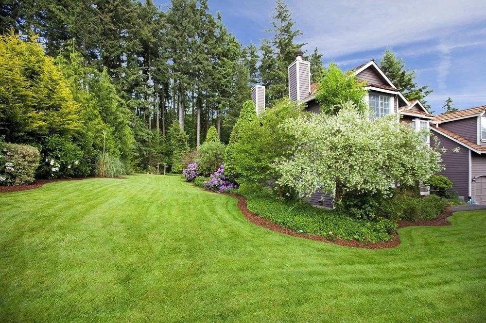 Affordable yard maintenance for homes in Glen Allen, VA by Lawn Popper's
